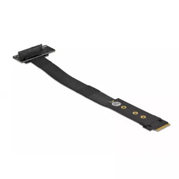 Adattatore M.2 Key M a U.2 SFF-8639 NVMe DeLOCK 64135