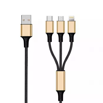 Cavo USB 2GO 797152 3m USB B USB C/micro-USB B/Lightning nero oro