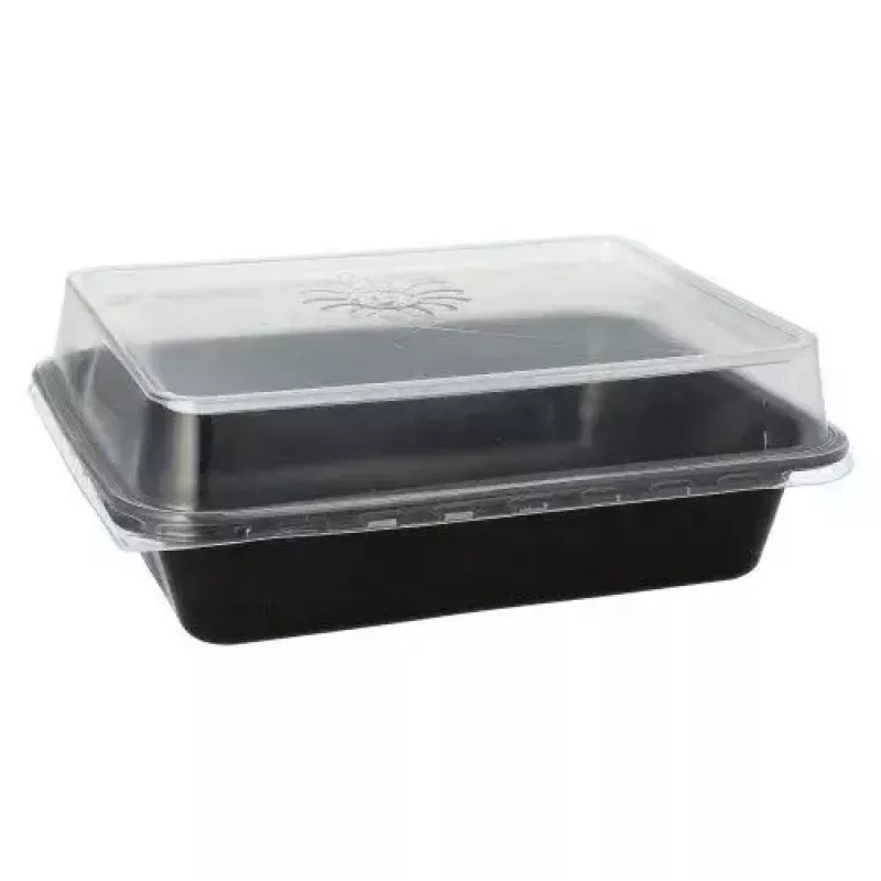 Contenitore monouso per alimenti Papstar 96552 in polipropilene nero 227x178x45mm