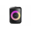 Grundig Party Hit nero wireless 90 W