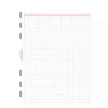 Avery Zweckform Chronoplan 50304 fogli a quadretti per agenda A5, 50 fogli, 80 g/m²
