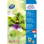 Carta inkjet Avery Premium A4 250 g bianca satinata opaca