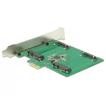 Adattatore mSATA interno DeLOCK 89479