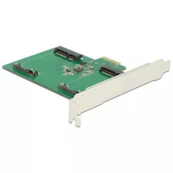 Adattatore mSATA interno DeLOCK 89479