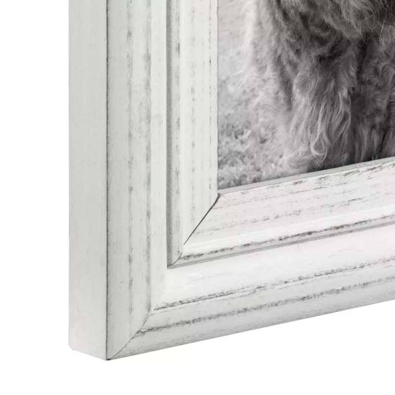 Cornice singola Hama Canuto bianco vetro legno