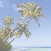 Sottomano in carta Sigel HO470 multicolore