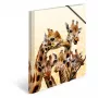 Cartella portadocumenti classica HERMA Giraffe Friends polipropilene (PP) multicolore A4