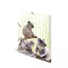 Cartella portadocumenti classica HERMA Koalafamily 19958