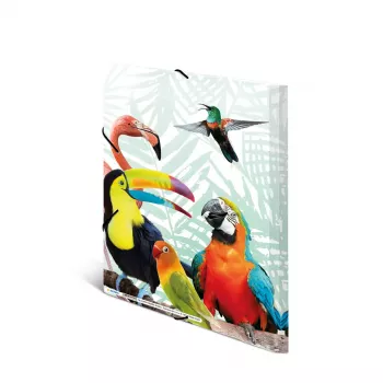 Cartella portadocumenti classica HERMA Tropical Clique