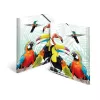 Cartella portadocumenti classica HERMA Tropical Clique