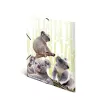 Raccoglitore classico HERMA Koalafamily A3