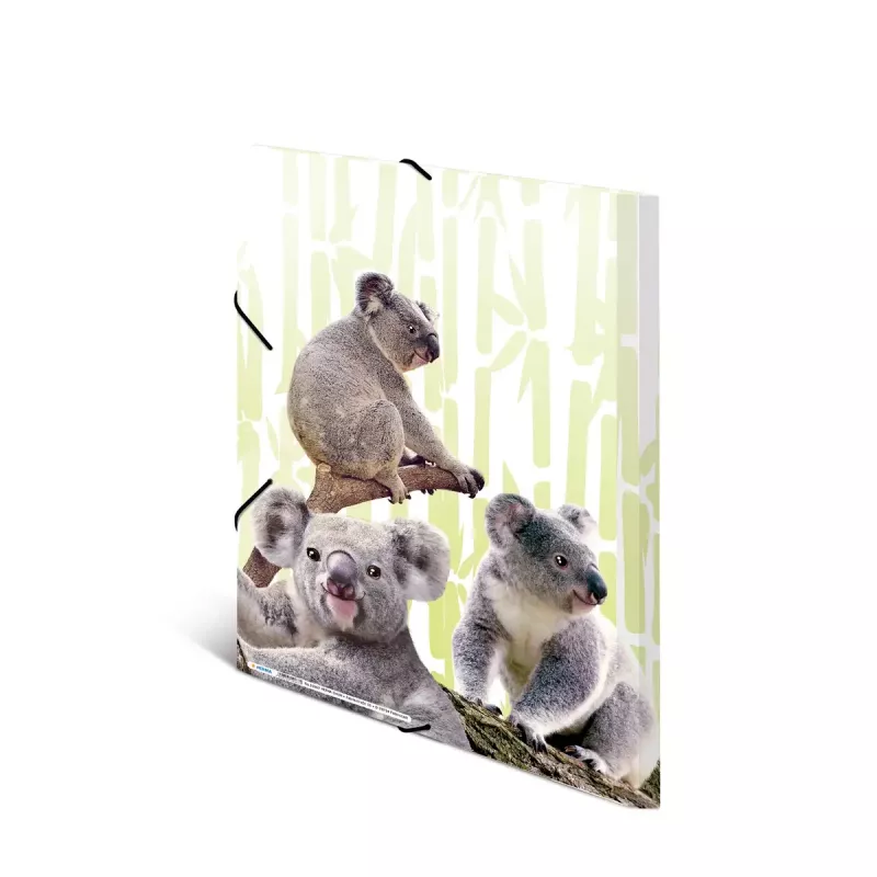 Raccoglitore classico HERMA Koalafamily A3