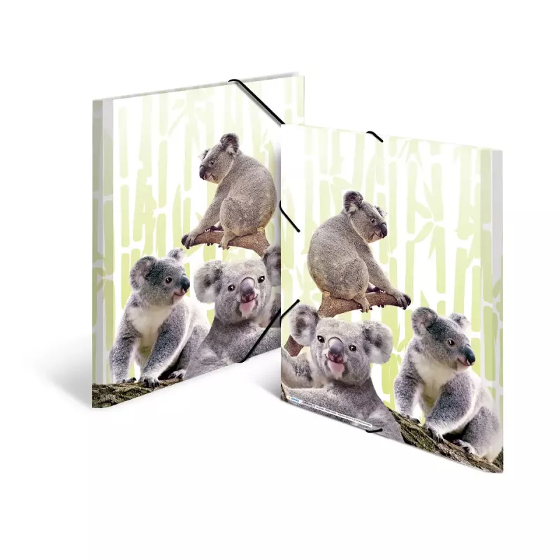 Raccoglitore classico HERMA Koalafamily A3