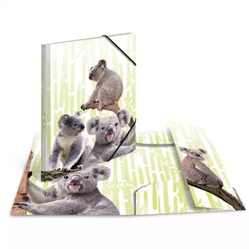 Raccoglitore classico HERMA Koalafamily A3