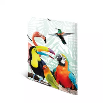 Cartella classica HERMA Tropical Clique A3