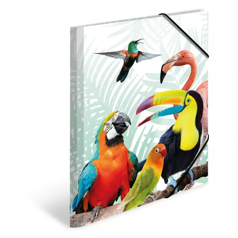 Cartella classica HERMA Tropical Clique A3