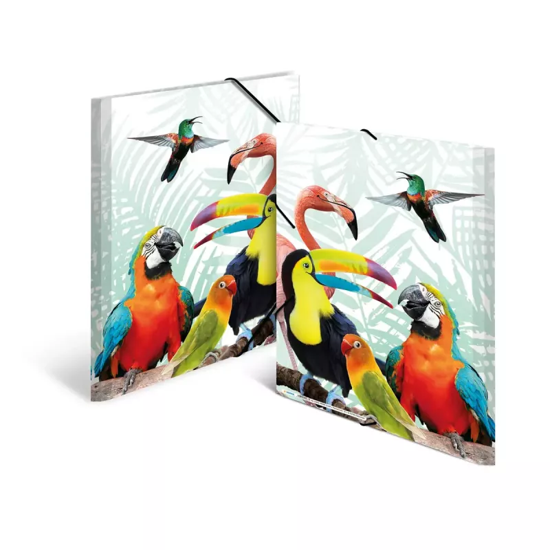 Cartella classica HERMA Tropical Clique A3