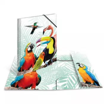 Cartella classica HERMA Tropical Clique A3