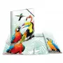 Cartella classica HERMA Tropical Clique A3