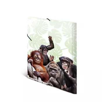 Cartella raccoglitore classica HERMA Monkey Gang polipropilene A3
