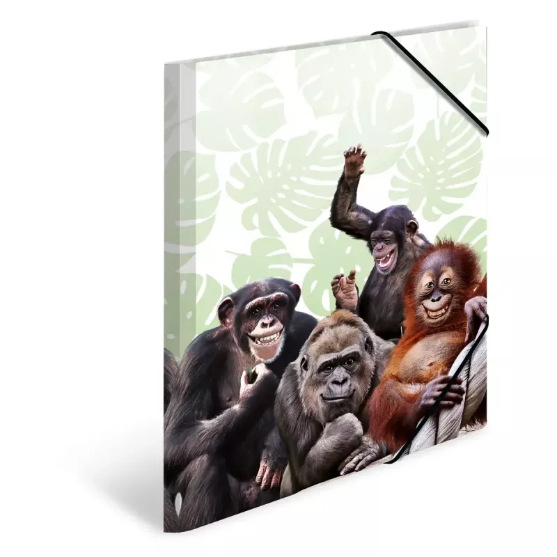 Cartella raccoglitore classica HERMA Monkey Gang polipropilene A3