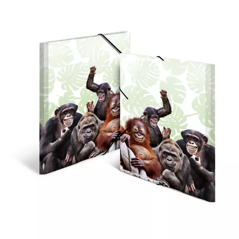 Cartella raccoglitore classica HERMA Monkey Gang polipropilene A3