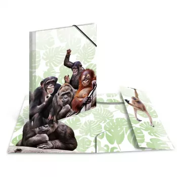 Cartella raccoglitore classica HERMA Monkey Gang polipropilene A3