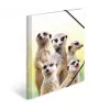 Cartella raccoglitore classica HERMA Erdmännchen-Clique