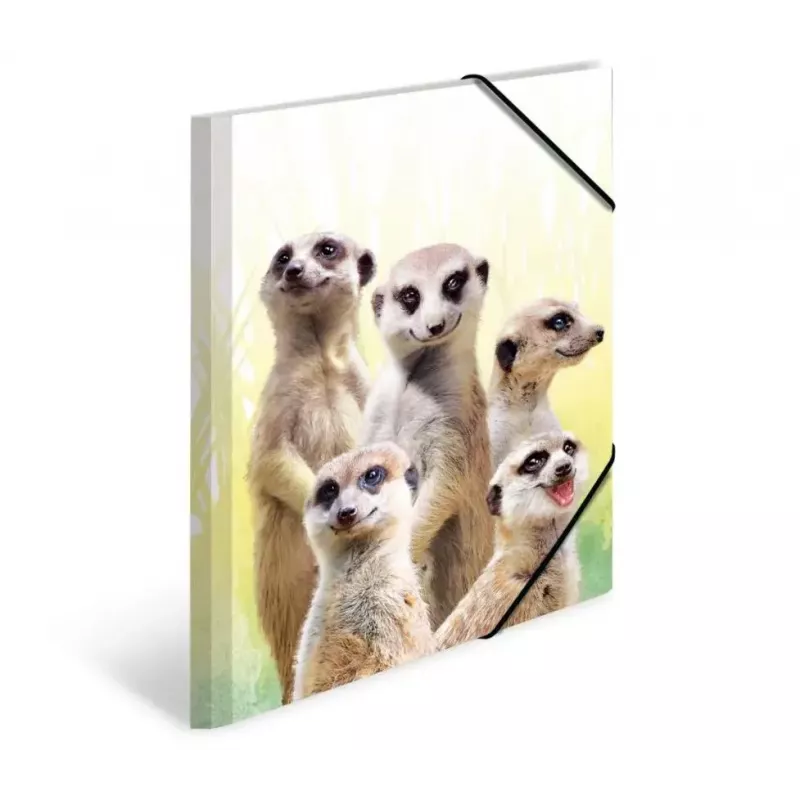 Cartella raccoglitore classica HERMA Erdmännchen-Clique