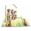 Cartella raccoglitore classica HERMA Erdmännchen-Clique
