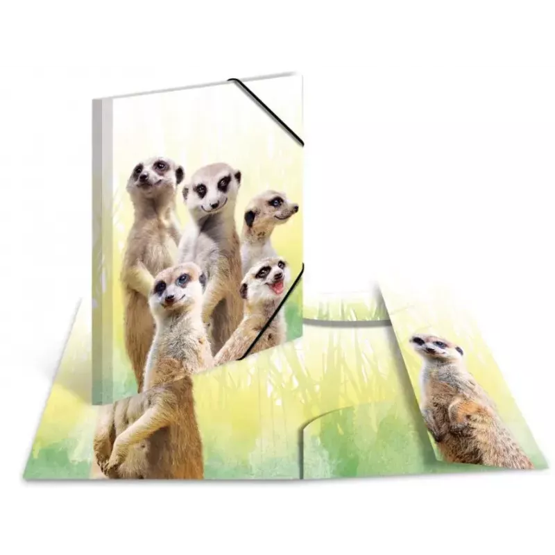 Cartella raccoglitore classica HERMA Erdmännchen-Clique