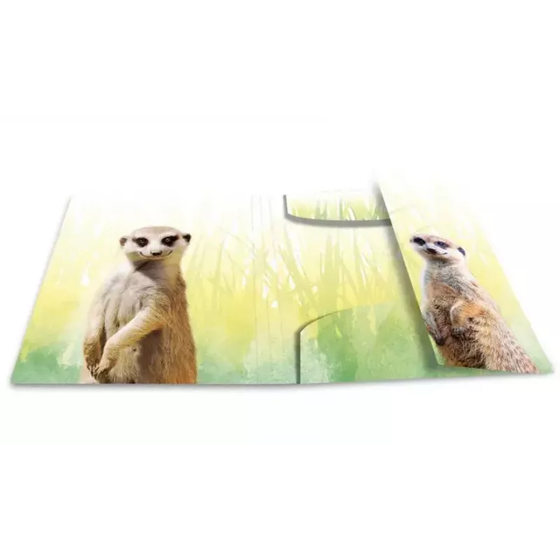 Cartella raccoglitore classica HERMA Erdmännchen-Clique