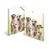 Cartella raccoglitore classica HERMA Erdmännchen-Clique
