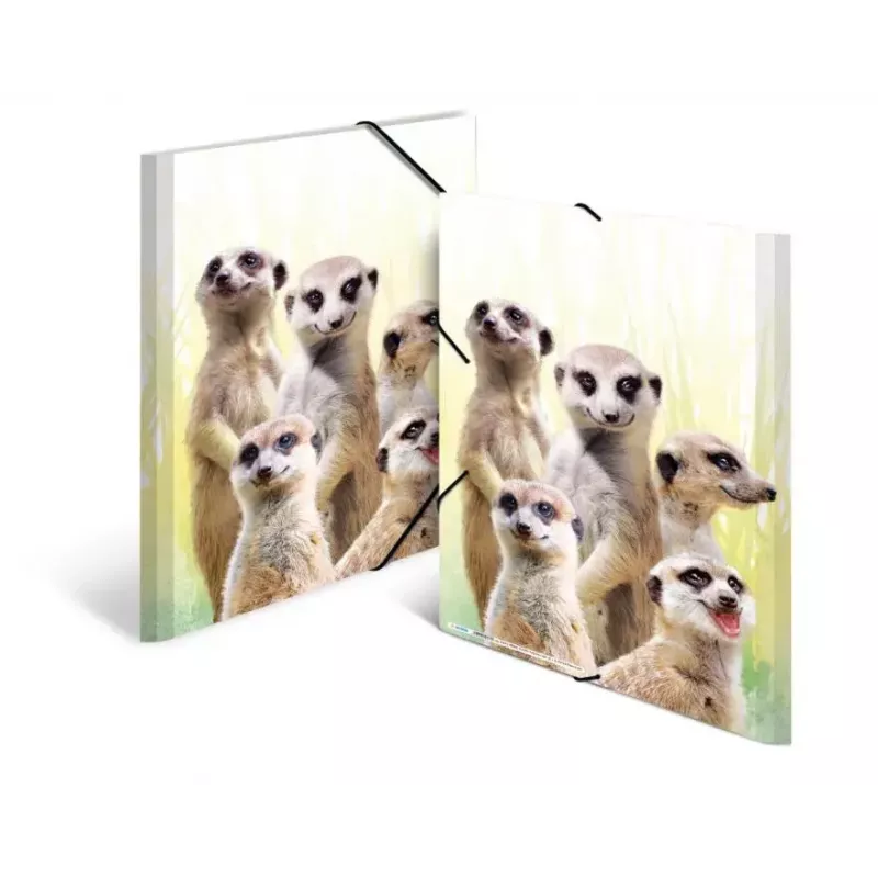 Cartella raccoglitore classica HERMA Erdmännchen-Clique