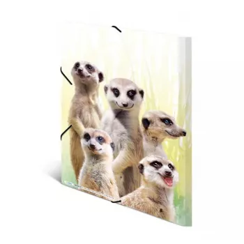 Cartella raccoglitore classica HERMA Erdmännchen-Clique