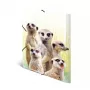 Cartella raccoglitore classica HERMA Erdmännchen-Clique