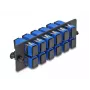 DeLOCK pannello adattatore in fibra ottica SC Simplex UPC 12 porte blu