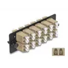 DeLOCK piastra adattatore in fibra ottica LC Duplex OM1 OM2 12 porte beige