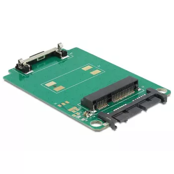 Scheda di interfaccia interna DeLOCK 62520