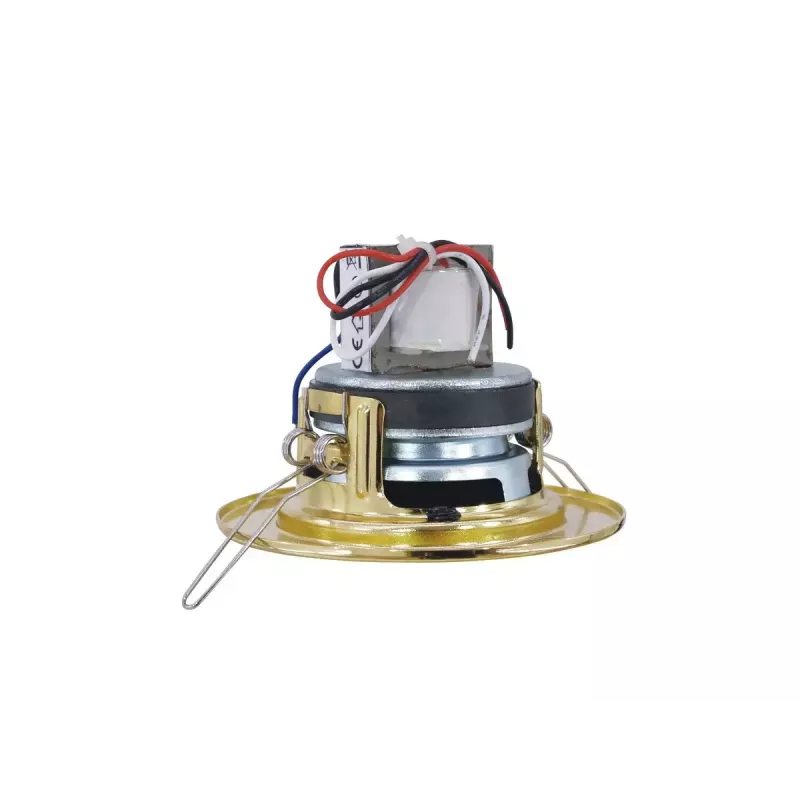 Altoparlante a 2 vie Omnitronic 80710203 oro con filo 6 W