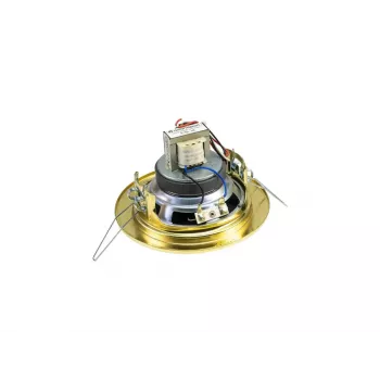 Altoparlante a 2 vie Omnitronic 80710207 oro con filo 6 W