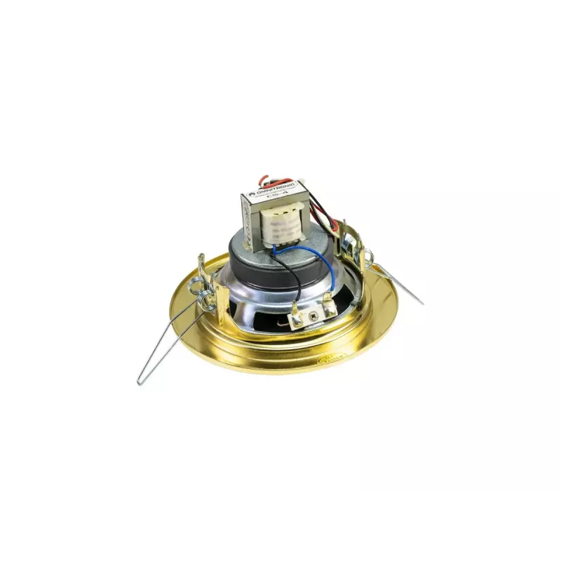 Altoparlante a 2 vie Omnitronic 80710207 oro con filo 6 W