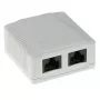 Scatola da parete, 2 porte, CAT6, non schermata, ACT FA6002, 29×61×29,5 mm