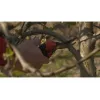 Cesoia da giardino a bypass Bahco PXR-M2 nero rosso acciaio inox