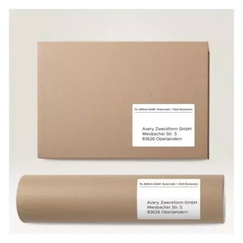 Etichetta per stampante autoadesiva AVERY 6601 bianco 10,5 x 14,8 cm 260 etichette