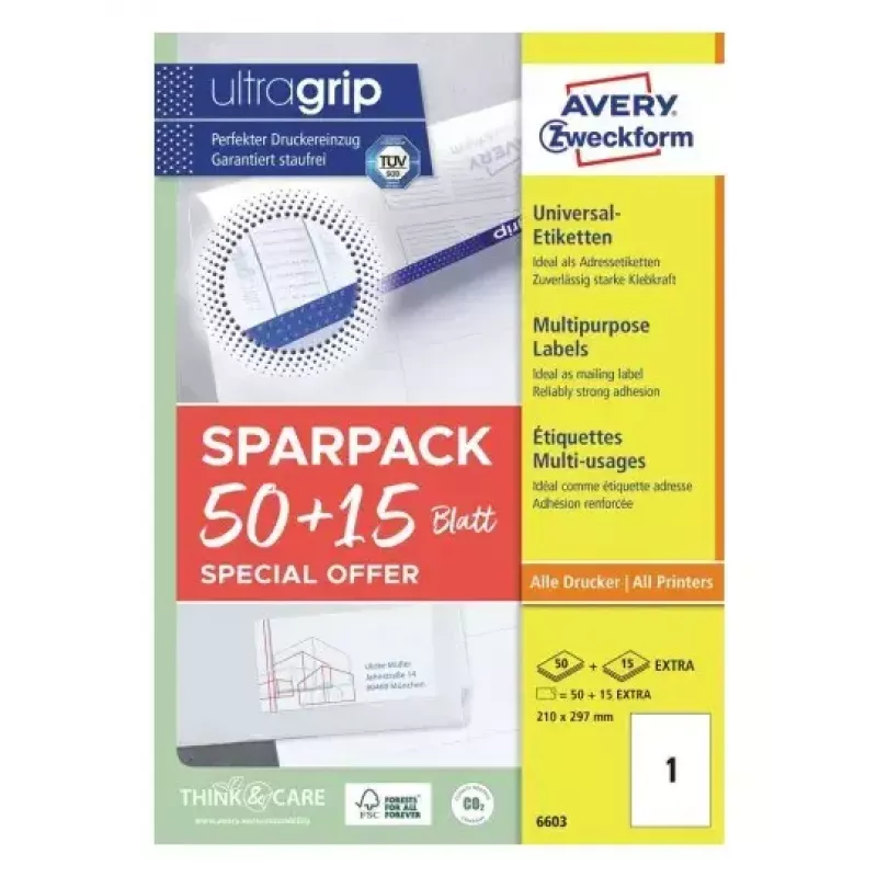 Etichetta per stampante autoadesiva AVERY 6603 bianco A4 21x29,7 cm 65 etichette