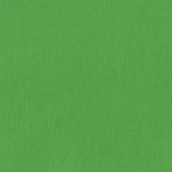 Telo di sfondo Hama 00021158 verde cotone 2950 mm x 6000 mm