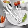 Set valigetta posate Esmeyer SOPHIE 60 pz. Acciaio inox