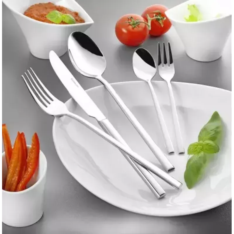 Set valigetta posate Esmeyer SOPHIE 60 pz. Acciaio inox