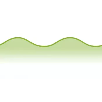 Forbici universali per ritaglio figure Wedo 77 1901 verde 160 mm